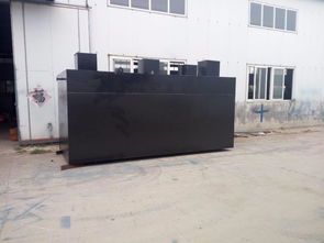 高效潔凈，守護(hù)環(huán)境 地埋式豆類(lèi)加工污水處理與洗滌設(shè)備解決方案